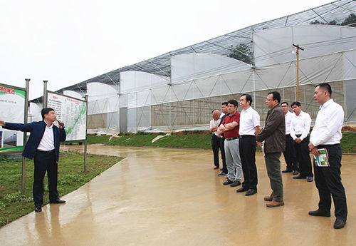 廣西百色人大網