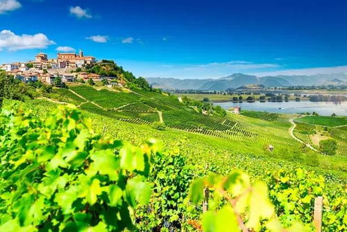 全球度假趨勢劇透 愈消費愈賺錢