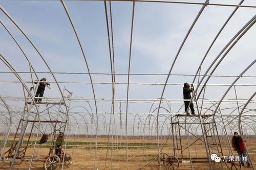 縣農(nóng)副產(chǎn)品加工發(fā)展服務(wù)中心多舉并措抓好農(nóng)業(yè)產(chǎn)業(yè)提檔升級(jí)重點(diǎn)項(xiàng)目