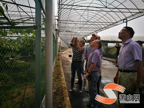 我區(qū)迎來(lái)創(chuàng)建 省級(jí)農(nóng)產(chǎn)品質(zhì)量安全放心縣 工作考評(píng)檢查