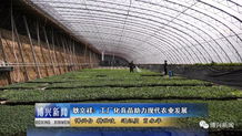 耿文祥 工廠化育苗 助力現(xiàn)代農(nóng)業(yè)發(fā)展