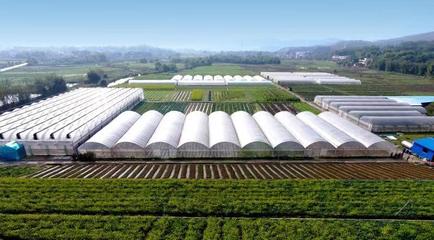 韶關(guān)曲江:奮進(jìn)新時(shí)代 譜寫新篇章