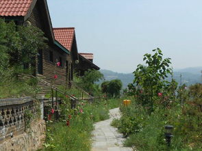 太原市采薇莊園特色農(nóng)業(yè)開發(fā)圖冊(cè)