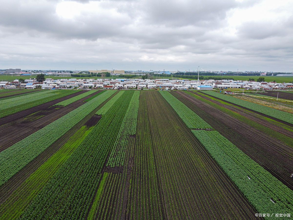 農(nóng)業(yè)工程(農(nóng)業(yè)綜合開發(fā)生態(tài)工程)專業(yè)設計甲級資質(zhì)公司項目范圍