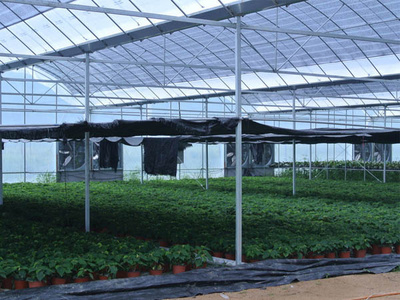 亞日集團助力光伏農(nóng)業(yè)大棚發(fā)展