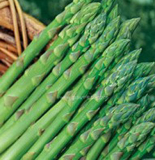 臨安錦昌農(nóng)業(yè)開發(fā)有限責任公司-