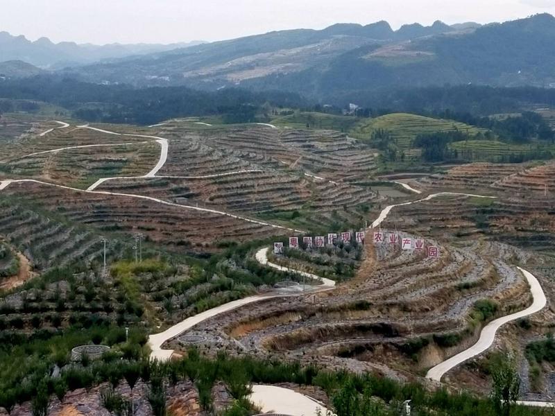 廣黔幫扶:&ldquo;招商引資,以商帶商&rdquo;,白云干部建現(xiàn)代農(nóng)業(yè)產(chǎn)業(yè)園帶領當?shù)厝罕娭赂?></a></div>
<div   id=