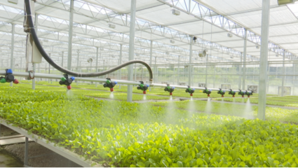 &ldquo;智慧農(nóng)業(yè)&rdquo;能致富?&ldquo;數(shù)字鄉(xiāng)村&rdquo;是啥樣?快來看貴陽高新區(qū)企業(yè)如何用科技賦能農(nóng)業(yè)!