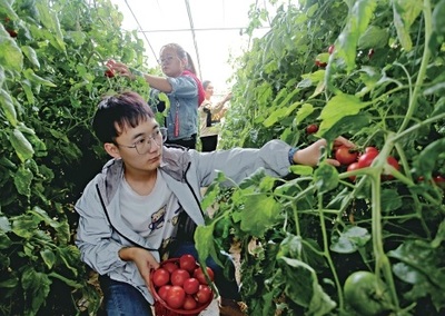 &ldquo;農(nóng)業(yè)+旅游