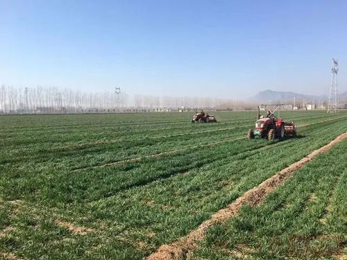 政策 支持新型肥料產(chǎn)品研發(fā) 院士 數(shù)字鄉(xiāng)村建設發(fā)展不平衡