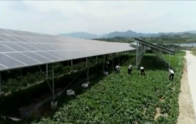 容益(海南)東方現代設施農業產業園建設取得新進展