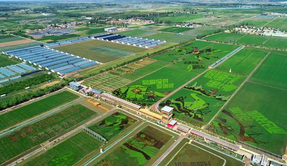 銀川農業開發新篇章 創新驅動與可持續發展并進