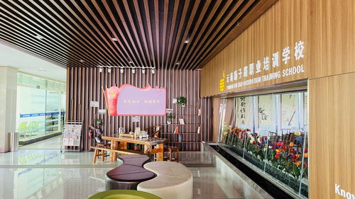 云南新子路職業(yè)培訓(xùn)學(xué)校 榮獲第二批職業(yè)技能等級認(rèn)定資格，深化應(yīng)用與技術(shù)服務(wù)新篇章